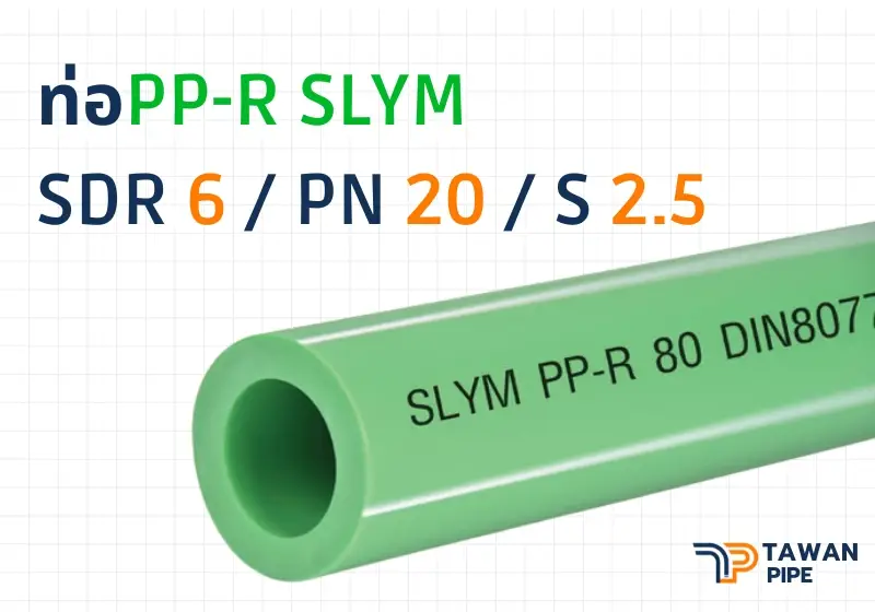 ท่อน้ำประปา PP-R SLYM ขนาด 50mm 20 6